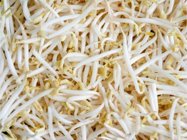 How Long Do Bean Sprouts Last