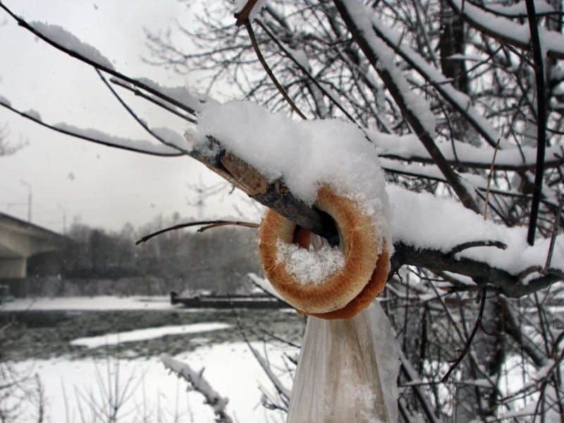 image of frozen bagel
