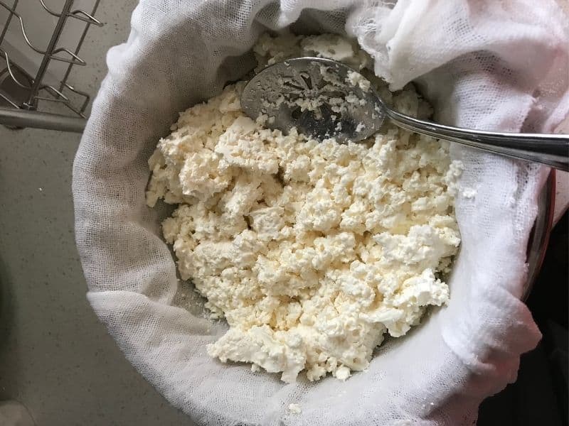homemade cottage cheese