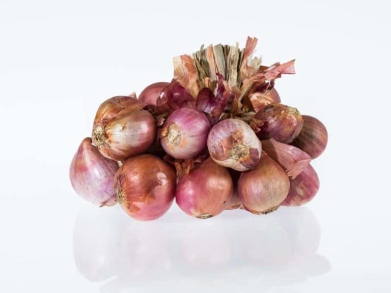 How To Freeze, Defrost, and Store Shallots