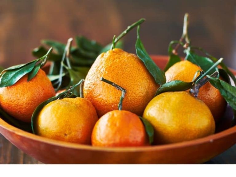 How to Store Oranges Properly Long and Short Term