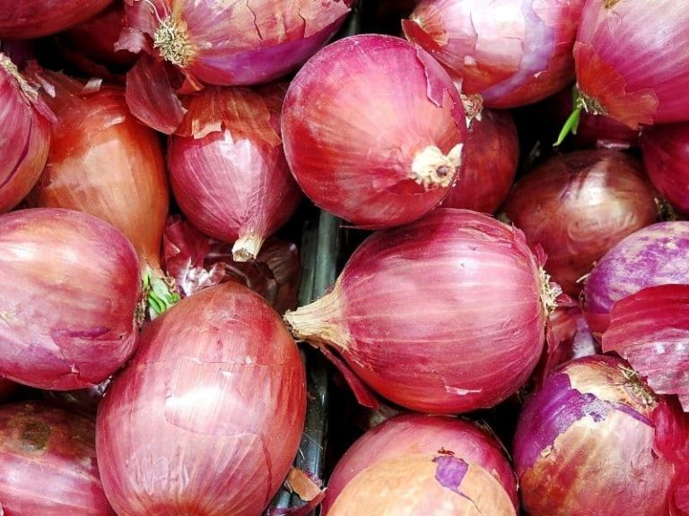 How To Pick and Store Red Onions: Ultimate Guide